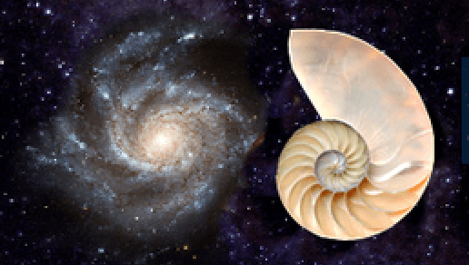 World Pantheist Movement Logo